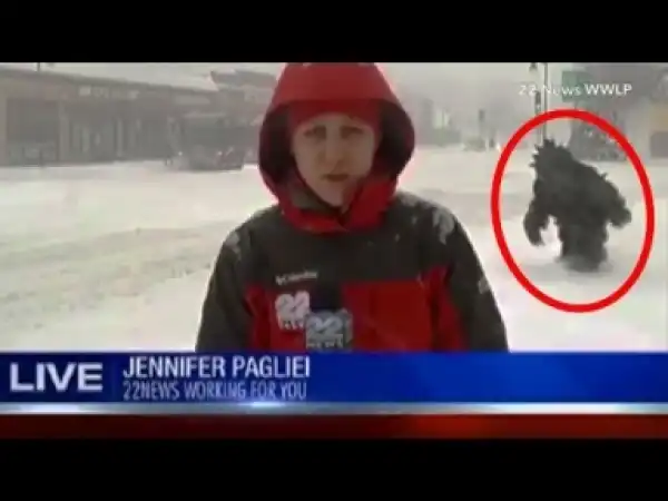 Video: 16 Mysterious Creatures Caught on LIVE TV